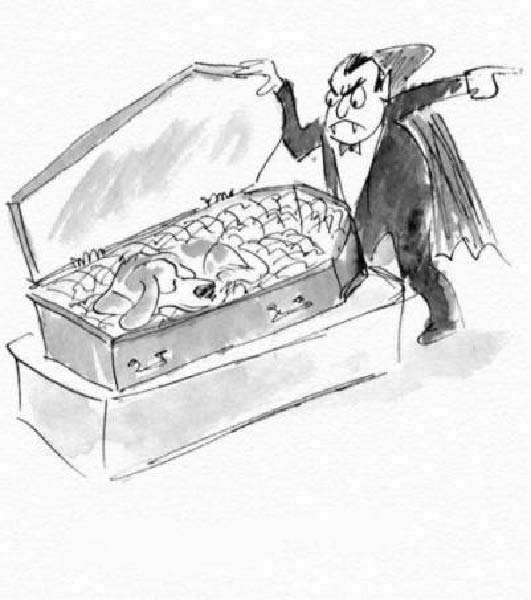 chien de dracula-humourenvrac